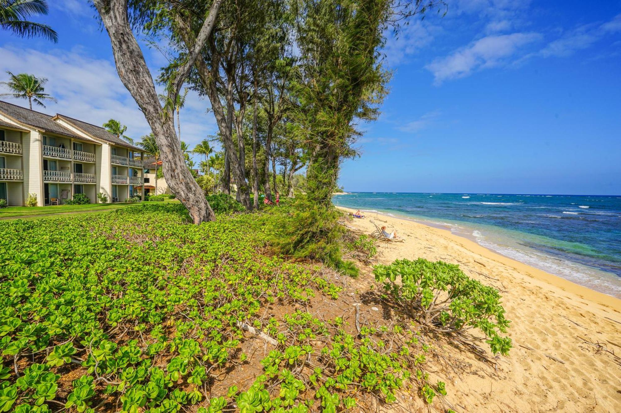 Islander On The Beach Kapa'a Kamer foto